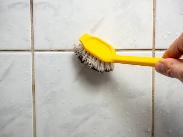 Best Fast Mold Removal  in Apollo, PA