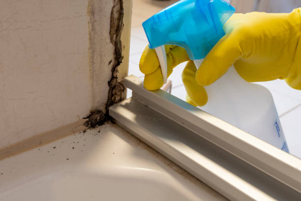 Best Mold Testing  in Apollo, PA