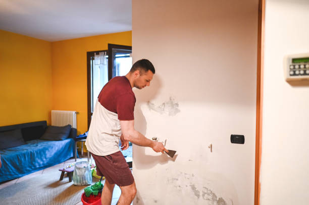 Best Professional Mold Removal  in Apollo, PA